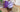 the-somerset-toiletry-co-how-to-use-body-scrub-feature-image
