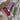 Three lip gloss tubes from The Somerset Toiletry Co are arranged on a textured cream knit blanket. The tubes are in three different colors: a deep berry red, a lavender purple, and a light green, each with white caps.