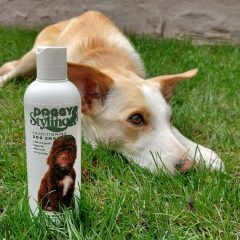the-somerset-toiletry-company-doggy-styling-conditioning-dog-shampoo.
