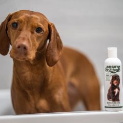 the-somerset-toiletry-company-doggy-styling