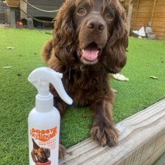the-somerset-toiletry-company-doggy-styling-deoderising