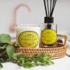 the-somerset-toiletry-company-home-fragrance-bundle-giner-and-lime