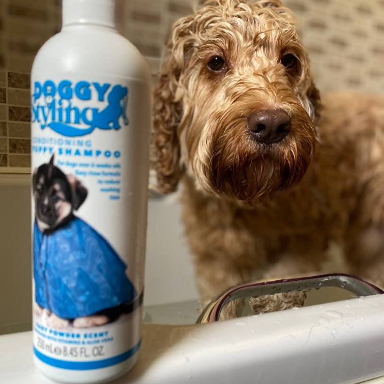 the-somerset-toiletry-company-doggy-styling-blog-monty