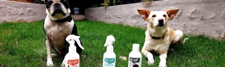 the-somerset-toiletry-company-doggy-styling-blog-header