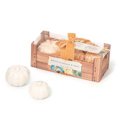 the-somerset-toiletry-company-white-pumpkin-and-sage-soap-bar-gift-set